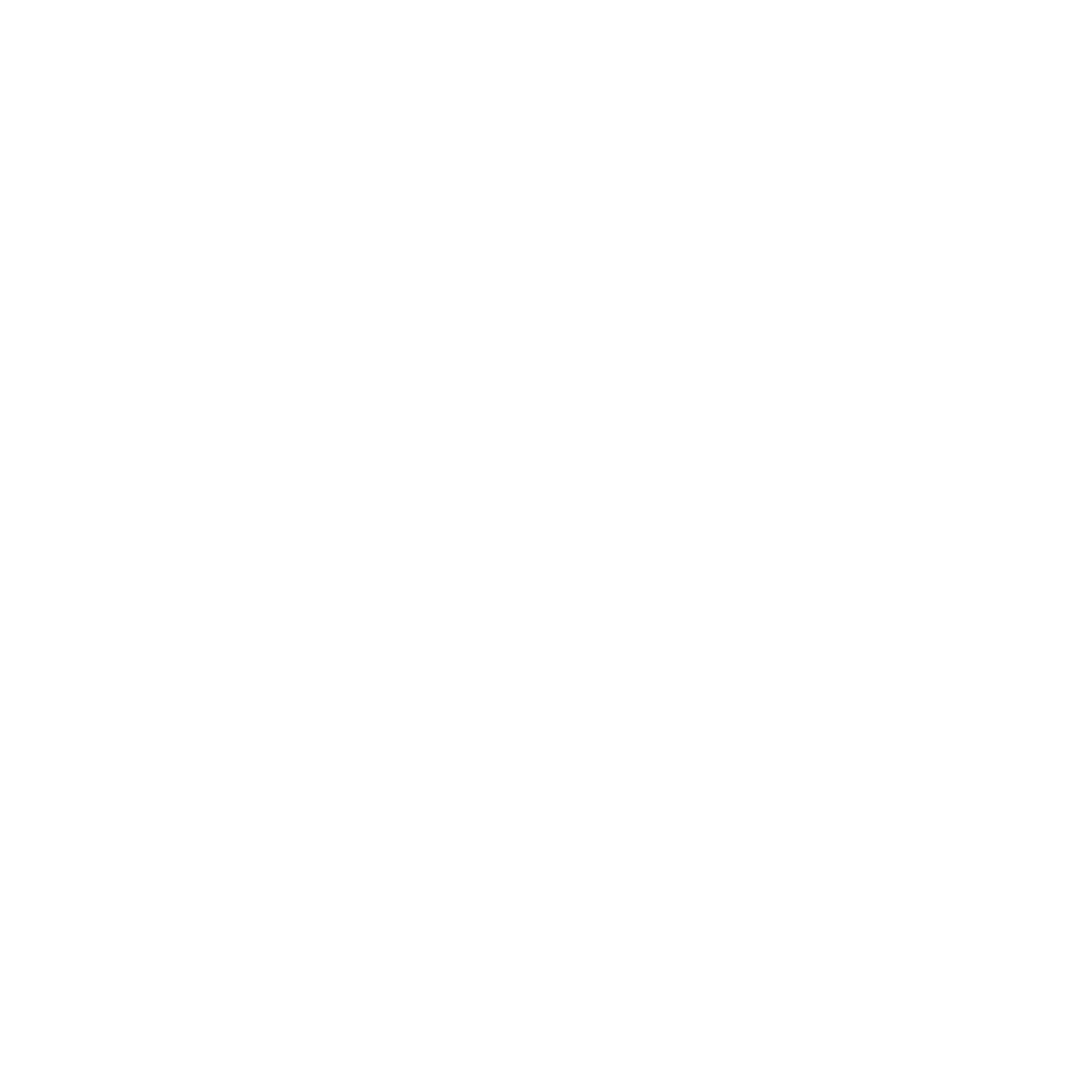 SelectraHR Logo